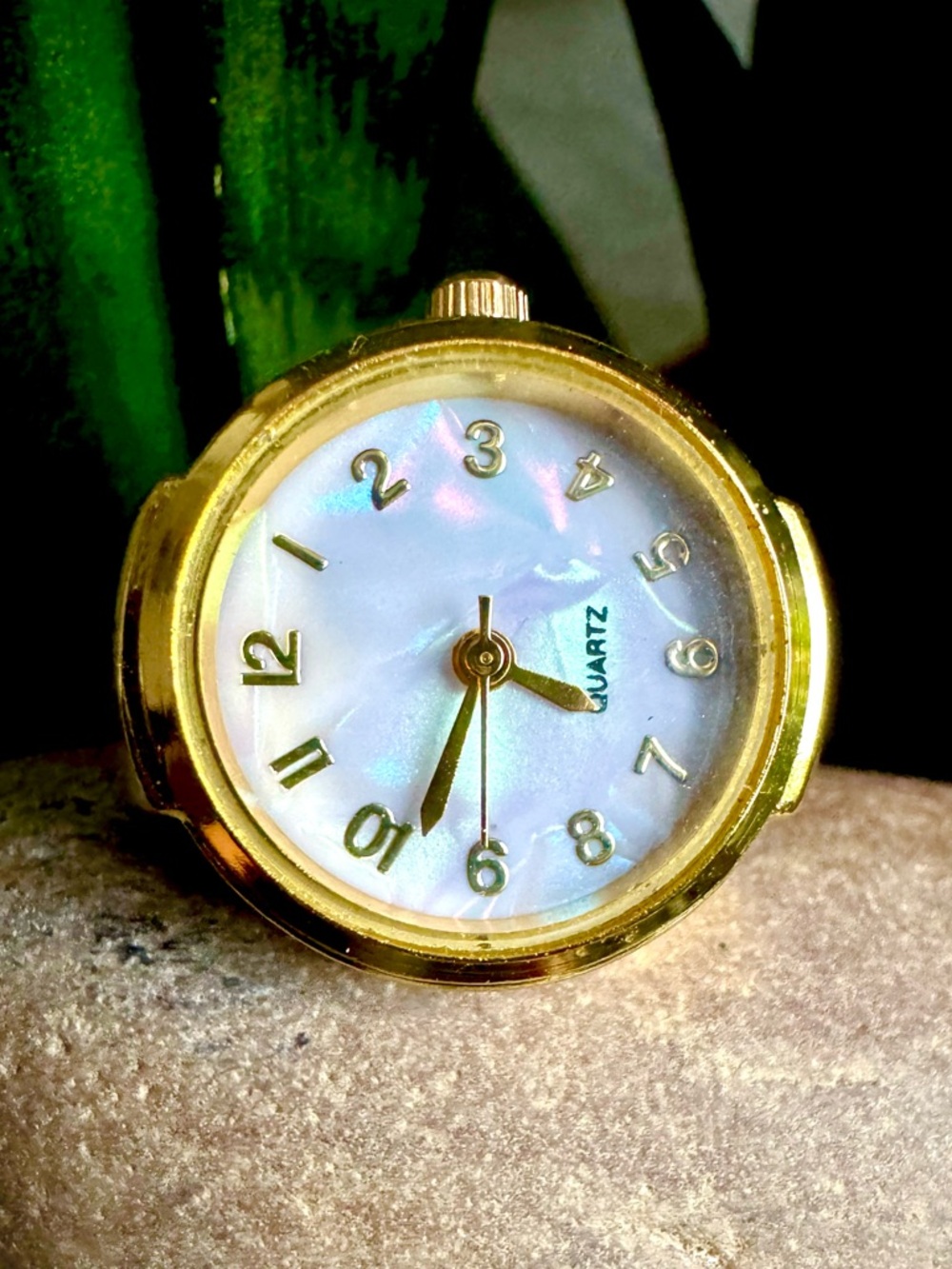 Ring Watch